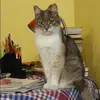 Отзыв от Лия Антонова